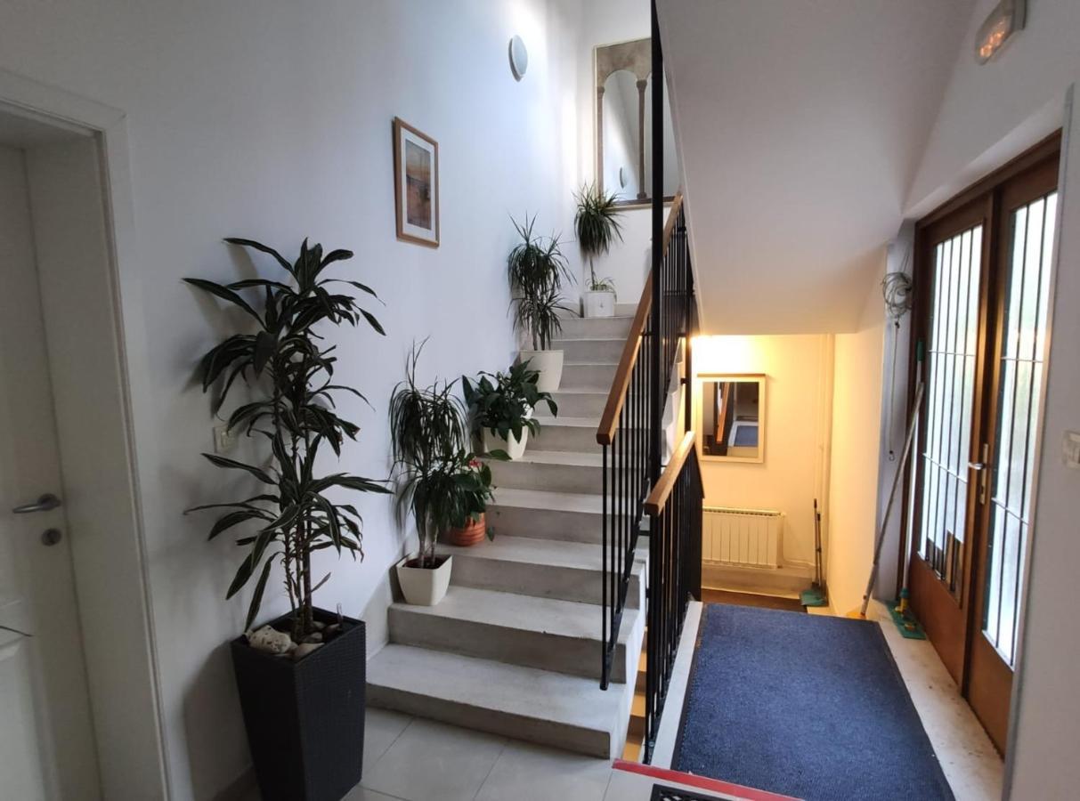 Ivana Apartman 2 크리크베니카 외부 사진